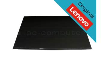 Lenovo LJ96-06501E original TN display FHD (1920x1080) matt 60Hz