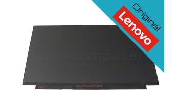 Lenovo SD10Q66905 original IPS display FHD (1920x1080) matt 60Hz