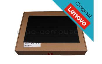 Lenovo ThinkBook 16 G4+ IAP (21CY) original IPS display WUXGA (1920x1200) matt 60Hz (30 Pin)