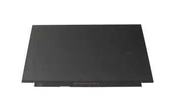 Lenovo ThinkPad X1 Extreme Gen 2 (20QV/20QW) original IPS display FHD (1920x1080) matt 60Hz