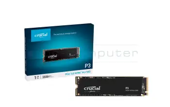 MSI Codex XE Plus 9SE (MS-B913) PCIe NVMe SSD Crucial P3 1TB (M.2 22 x 80 mm)