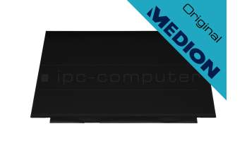 Medion Erazer X15803 (GK5CP0Z) original IPS display FHD (1920x1080) matt 144Hz
