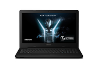 Medion Erazer P6661 (D15SHN)