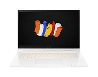 Acer ConceptD 3 Ezel (CC315-72G)
