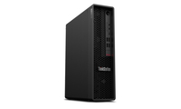 Lenovo ThinkStation P350 Workstation (30E5)