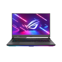Asus ROG Strix G17 G713RM