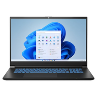 Medion Erazer Scout E10 (NP70PNJ-M)