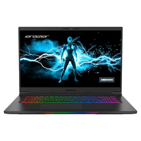 Medion Erazer Beast X25 (GM7ZG8P)