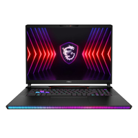 MSI Raider GE78HX 14VHG/14VIG