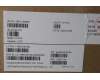 Lenovo MECH_ASM KBDW C EURO ENG BKLTLTN WW USGY for Lenovo ThinkPad X13 Yoga Gen 4 (21F2/21F3)