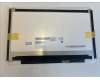 Asus 18010-11622000 LCD 11.6' HD US GL EDP