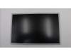Lenovo 01AG916 DISPLAY BOE19.5