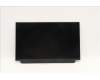 Lenovo 00NY682 DISPLAY IVO 12.5 FHD IPS AG