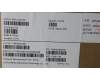 Lenovo MECH_ASM KBD W C RUS BKLT LTN WW USGY for Lenovo ThinkPad X13 Yoga Gen 4 (21F2/21F3)