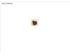 Fujitsu FUJ:CA82002-1123 SCREW M2XL3 (ROHS)