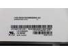 Lenovo 00HN899 DISPLAY LGD 12.5 FHD IPS AG