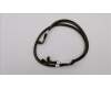 Lenovo 00HV393 CABLE 9HDD BP-Right 660 460mm
