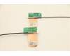 Lenovo 00UR476 ANTENNA ANTENNA,WLAN,ASM,Speed
