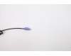Lenovo 00XH897 DT_KYB PS2 TRDTNL KB BK 253 ARA