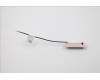 Lenovo 00XJ117 ANTENNA LX C-tiny2 Front antenna