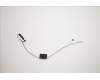 Lenovo 00XJ118 ANTENNA LX C-tiny2 Rear antenna