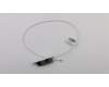 Lenovo 00XJ136 ANTENNA Fru, Gaming Y730 WLAN Antenna
