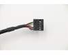 Lenovo CABLE Fru 200mm Rear USB2 LP cable for Lenovo ThinkCentre M70c (11GJ)