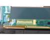 Lenovo 01AX899 TOUCHPANEL 14,HD,TP,OLED,NRM,WQHD,SDC