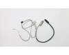 Lenovo 01HW939 CABLE EDP CABLE WQHD COXIAL
