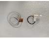 Lenovo 01HY971 ANTENNA ANT kit,WLAN,Narrow,ICT