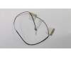 Lenovo 01LW415 ANTENNA Jinn FRU WLAN Antenna Kit