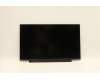 02DC316 Lenovo DISPLAY DUM 14FHD IPS AGnar NBRT 250 AUO