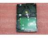 Lenovo 16200293 HDD_ASM SGT Grenada BP ST1000DM003 1TB H