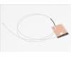 50.Q83N2.006 Acer ANTENNA.WLAN.AUX