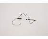 Lenovo 5A30S36067 ANTENNA Antenna L 20YN(5A30S36067)