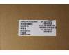 Lenovo 5A30S36075 ANTENNA Antenna W 82R9 MAIN+AUX