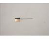 Lenovo 5A30S36076 ANTENNA Antenna W 82RA MAIN+AUX