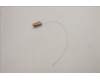 Lenovo 5A30S36076 ANTENNA Antenna W 82RA MAIN+AUX