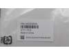 Lenovo 5A30S36090 ANTENNA Antenna WT 82XK MAIN&AUX