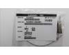 Lenovo 5A30W89227 ANTENNA Fru,13L FR 260mm ANT_LUX
