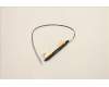 Lenovo 5A30Z88182 ANTENNA FRU ANTENNA Mars3.0 AMD
