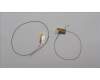 Lenovo 5A30Z88223 ANTENNA Antenna WL Main&Aux HT 300WG4