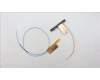 Lenovo 5A30Z88224 ANTENNA Antenna WW Main&Aux HT 300WG4