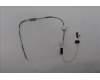 Lenovo 5A30Z88260 ANTENNA ANTENNA WLAN BK AWAN LT4E0