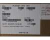 Lenovo 5A30Z88269 ANTENNA FRU WLAN CFRP KITS ASM Eiger1.0