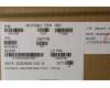 Lenovo 5A31C41982 ANTENNA Antenna WWAN&WLAN,Luxshare