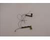 Lenovo 5A31C41982 ANTENNA Antenna WWAN&WLAN,Luxshare