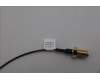 Lenovo 5A31F27724 ANTENNA Fru,148mm RF cable_HB
