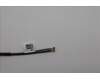 Lenovo 5A31F27735 ANTENNA 8.2L 2_in_1 front antenna_LUX