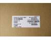 Lenovo 5A31F75897 ANTENNA KIT_WLAN Antenna_Amphenol
